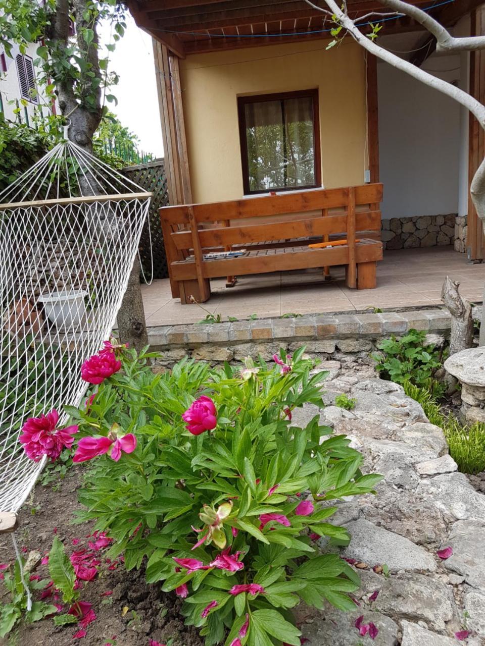 Hotel Casa Nikita Vama Veche Exteriér fotografie