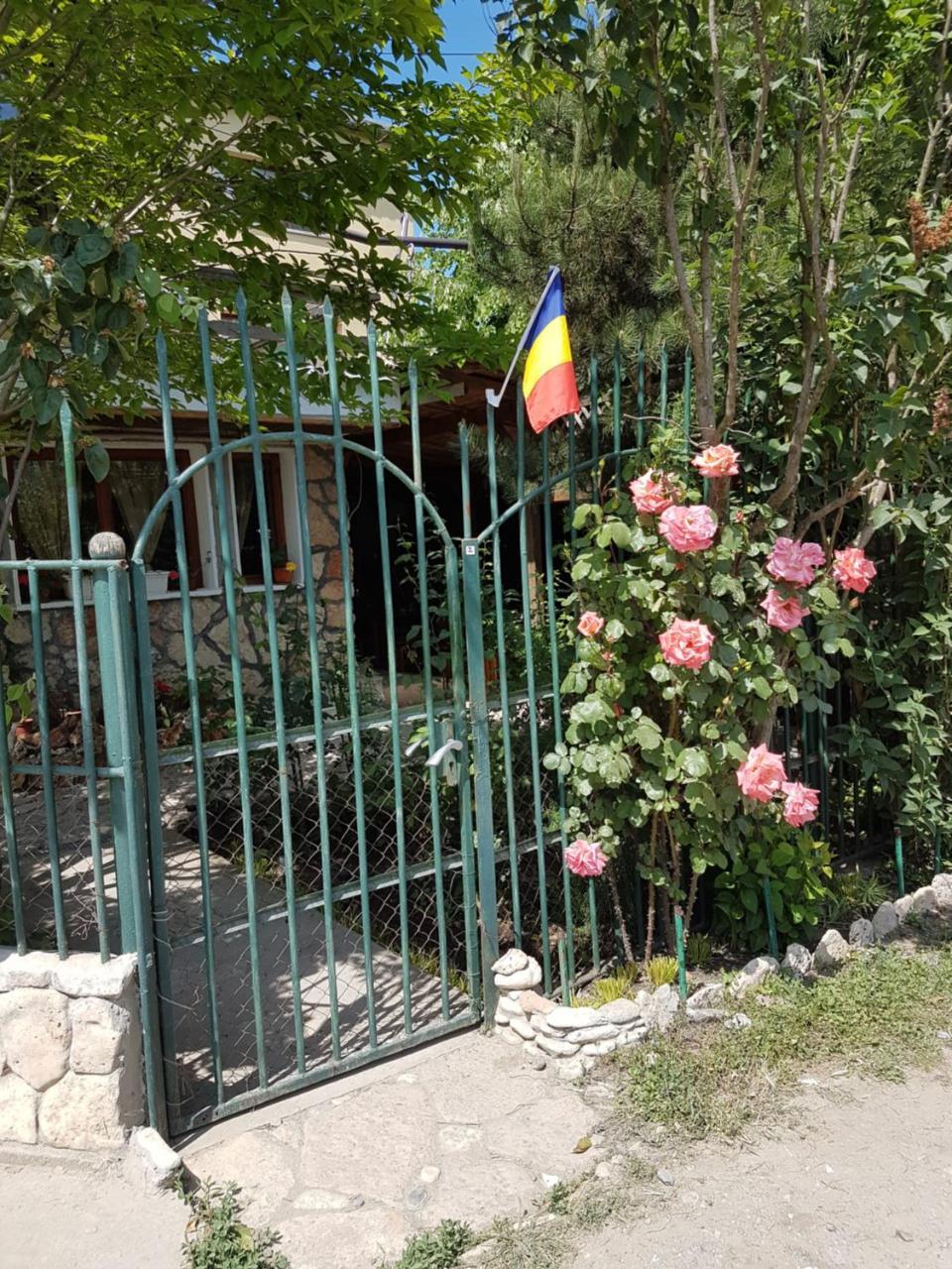 Hotel Casa Nikita Vama Veche Exteriér fotografie