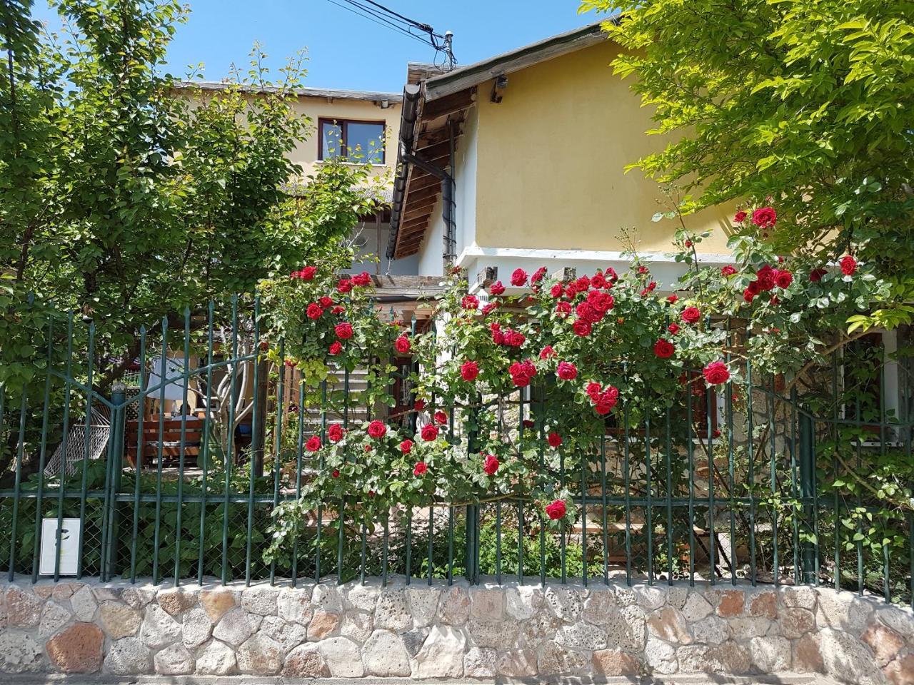 Hotel Casa Nikita Vama Veche Exteriér fotografie